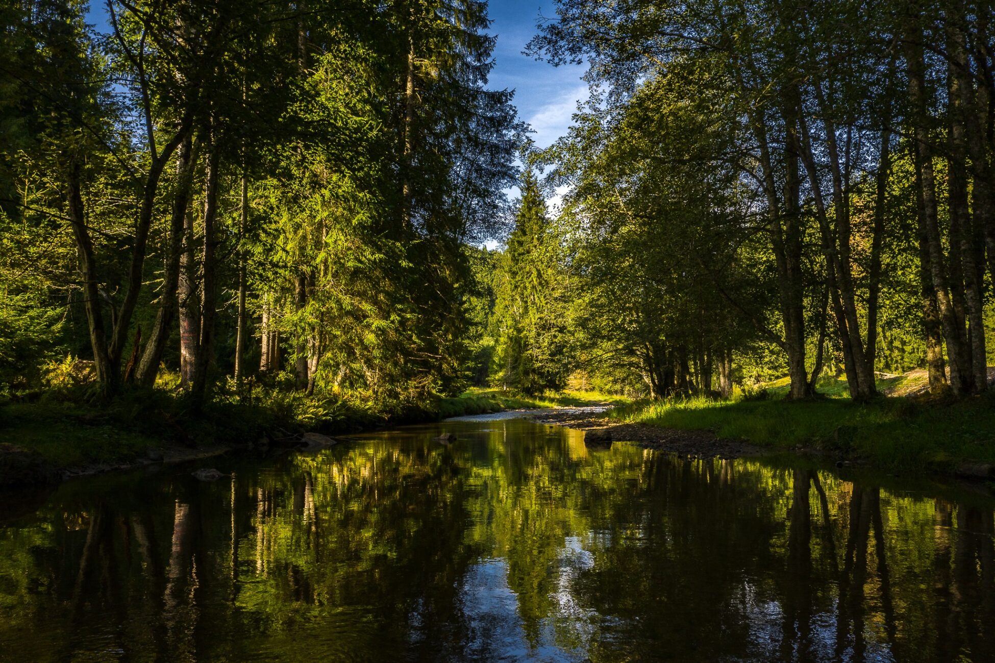 AQUA CARPATICA – Bucovina 57