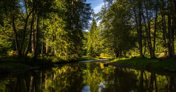 Τι είναι το «terroir» του νερού και γιατί είναι σημαντικό να γνωρίζουμε γι’ αυτό