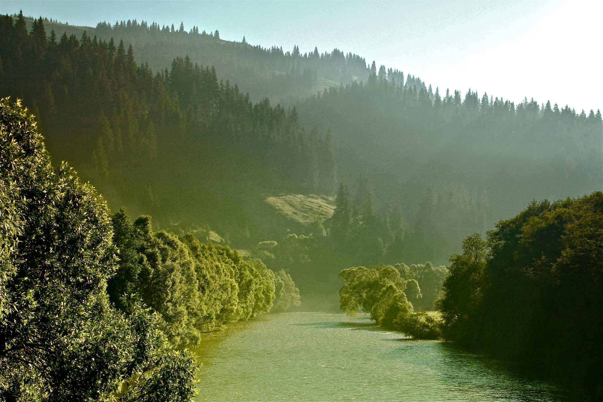 Bucovina – foto Cristina Nichitus Roncea