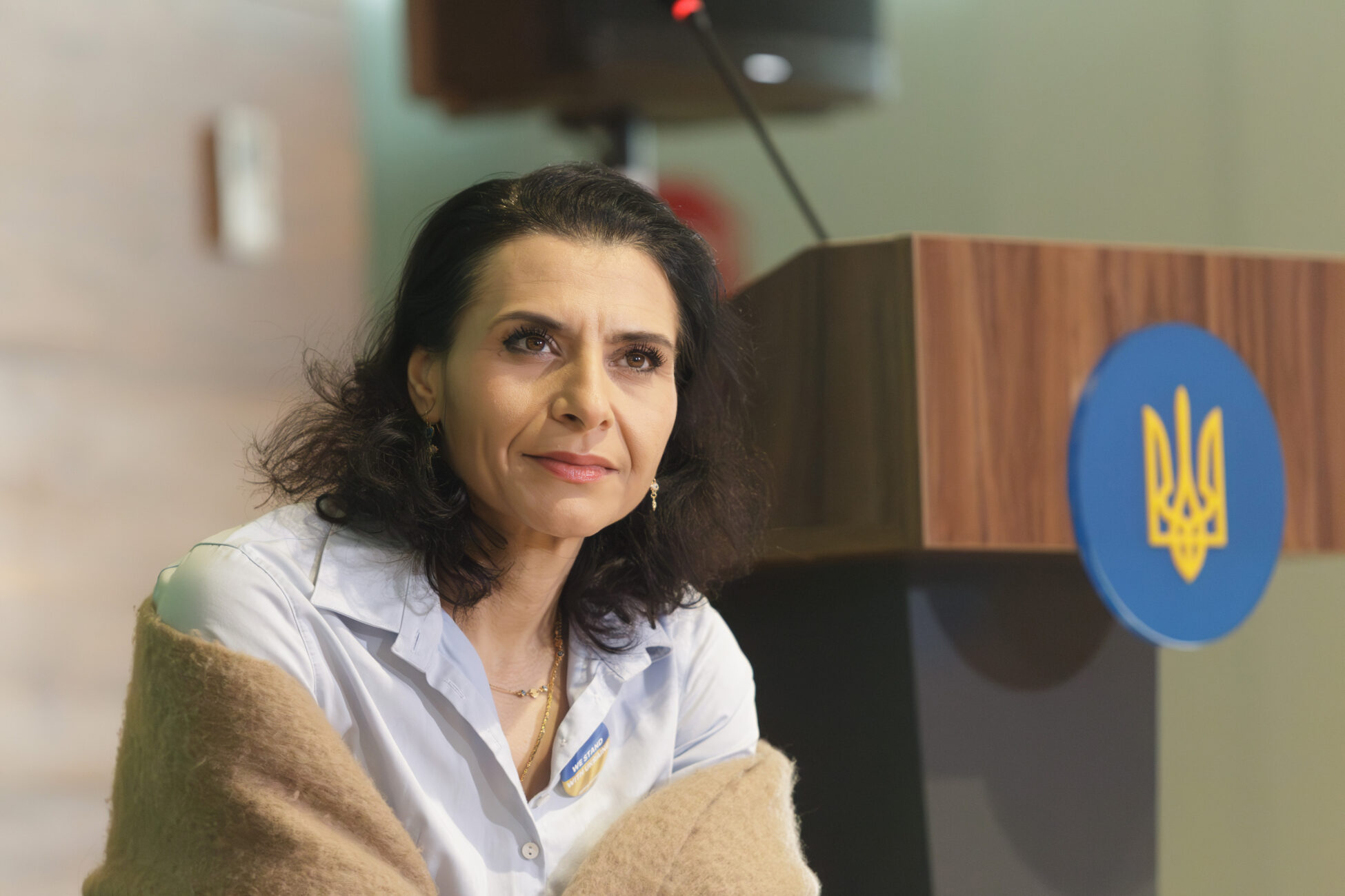 Briefing of MEPs and Servant of People Party Held in Kyiv