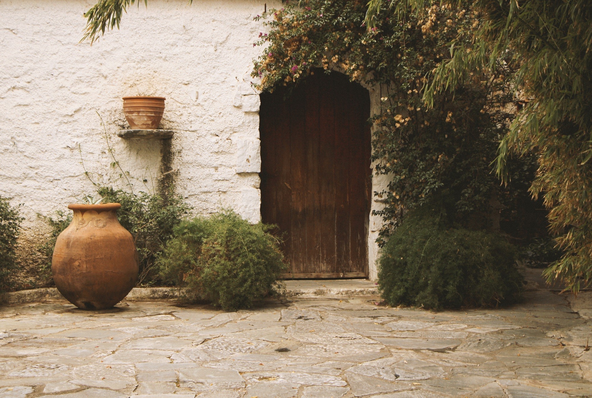 Photo credit @mairy_leonardou (2)