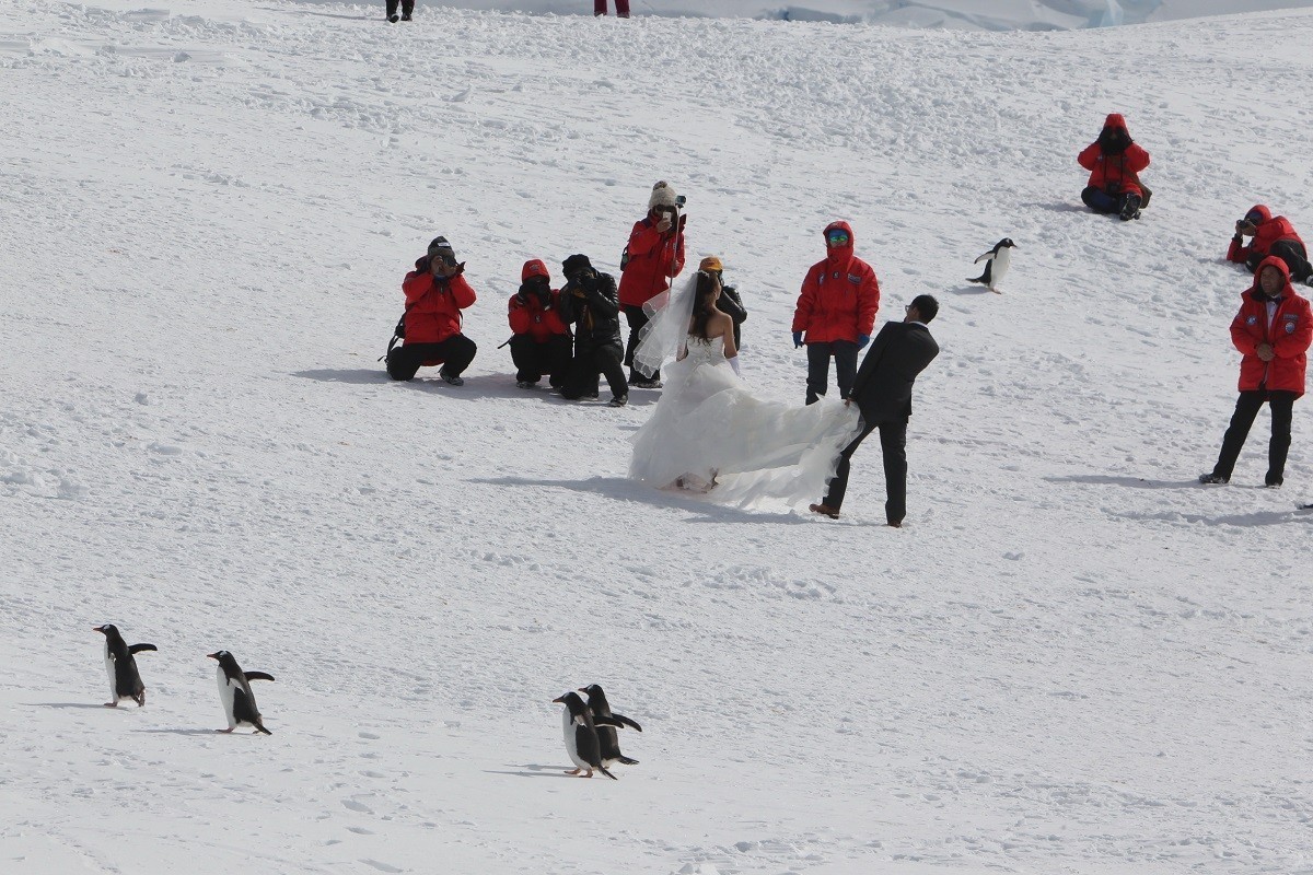 Chinese Tourists In The Antarctica