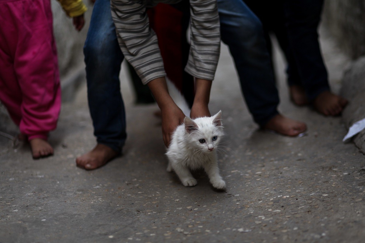 Daily life of the refugee children in Gaza