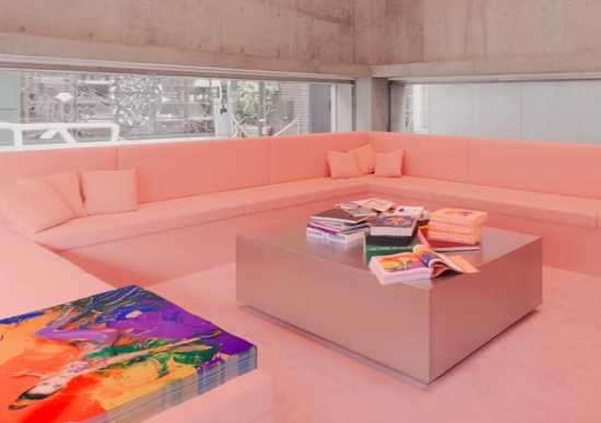 acne studios pink library
