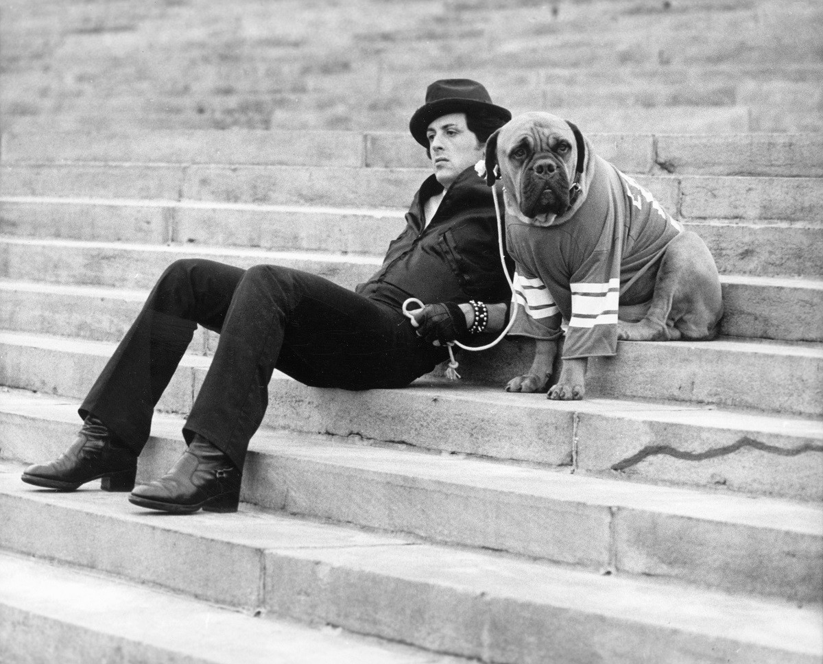 Sylvester Stallone With Dog In ‘Rocky’