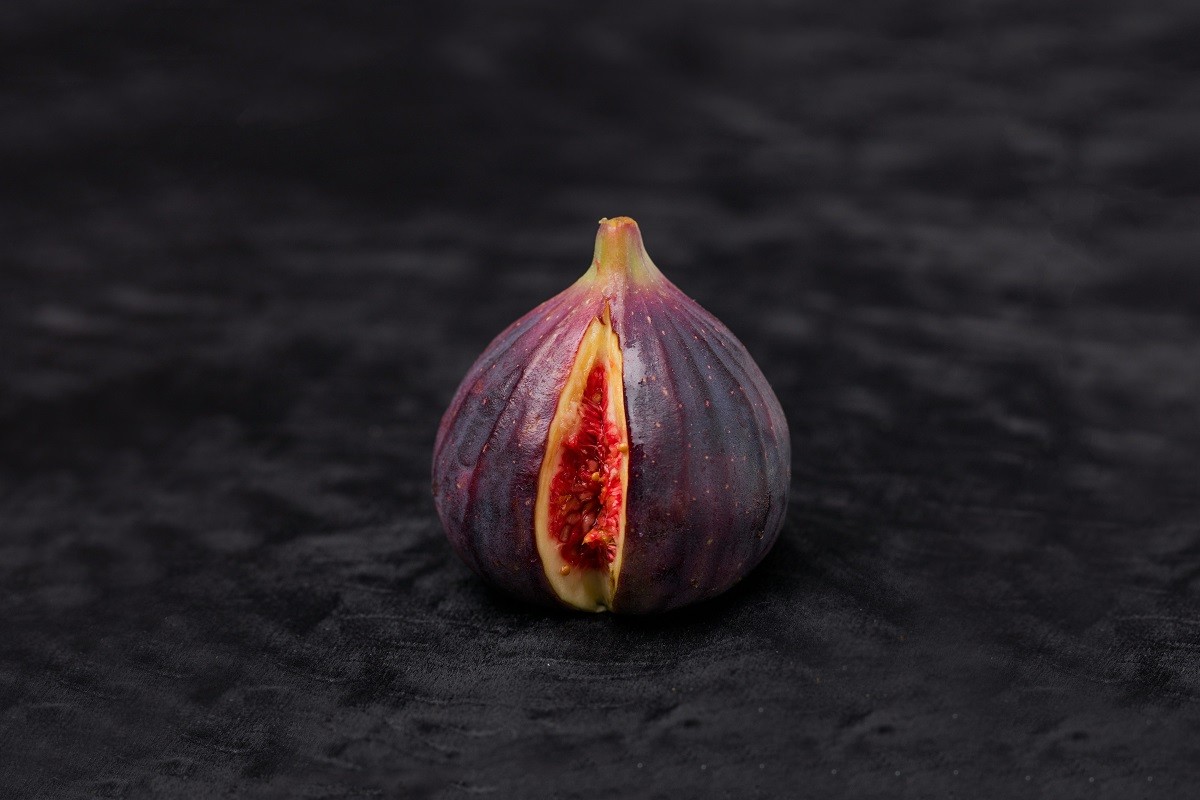 deon-black-3SkrqxYdUBA-unsplash