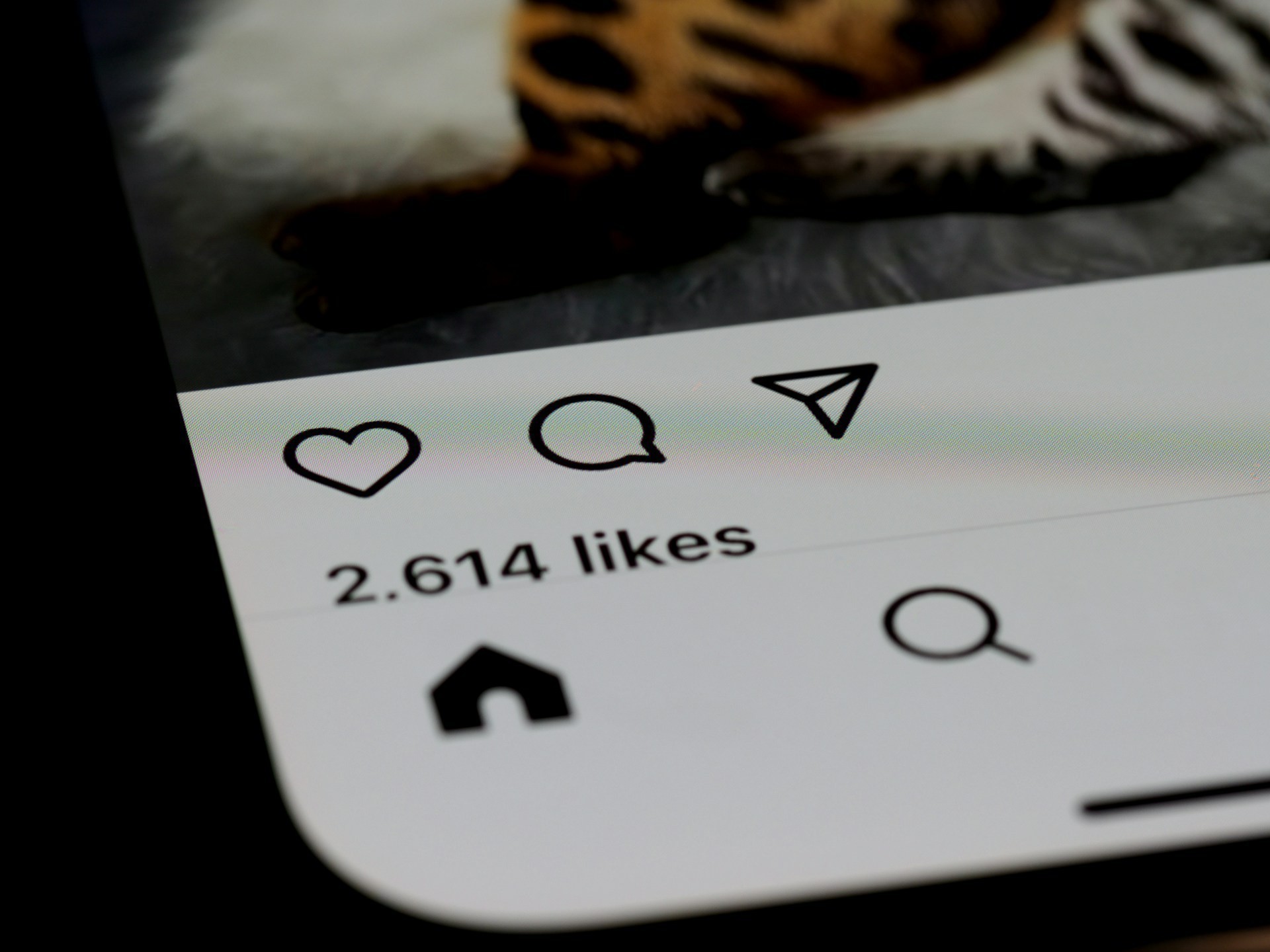 like instagram